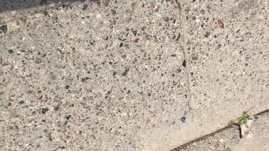 Black pantyhose lady 3