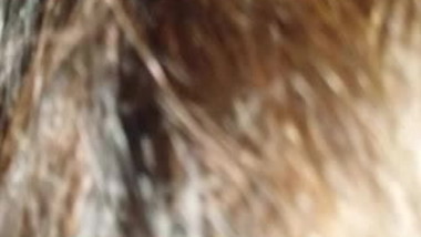 snitch better watch your mouth dumb whore