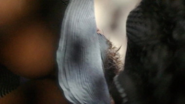 Flaquita piernona con tanga morado