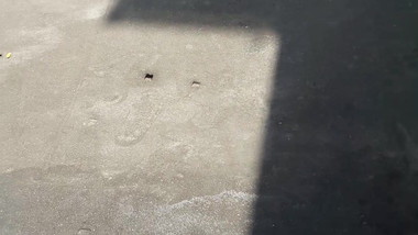 French big black ass